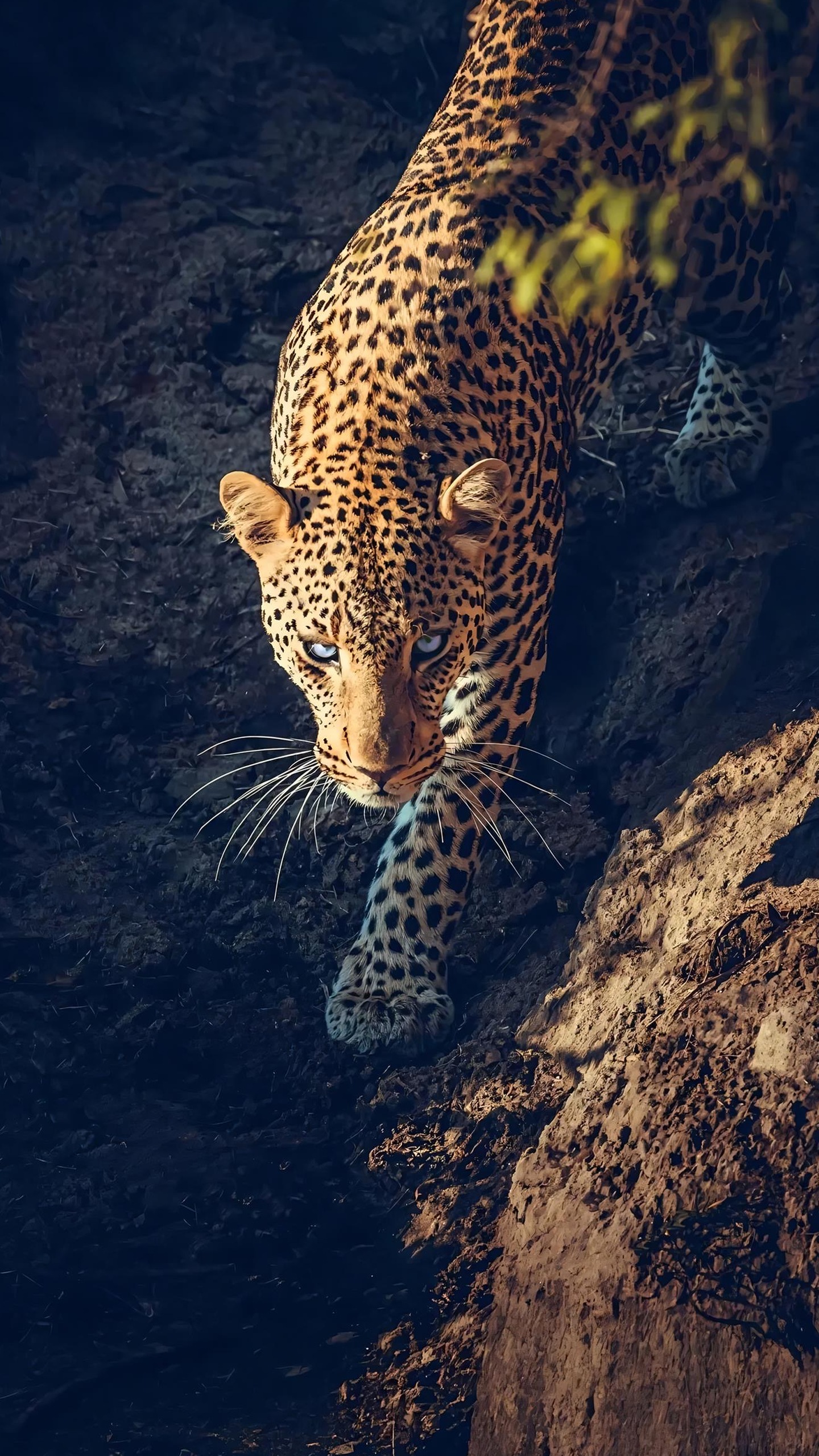 Small bamboo bridges connect hearts.