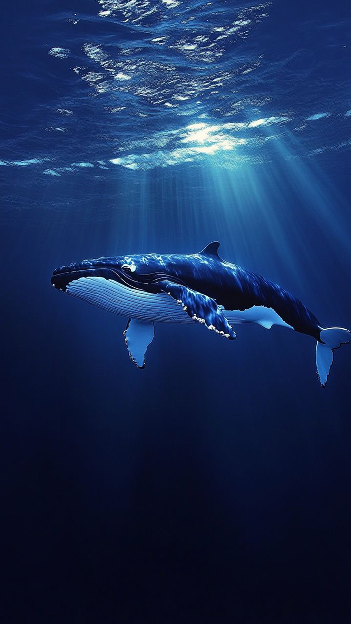 Blue Whale + Light Beams = Divine Combo!