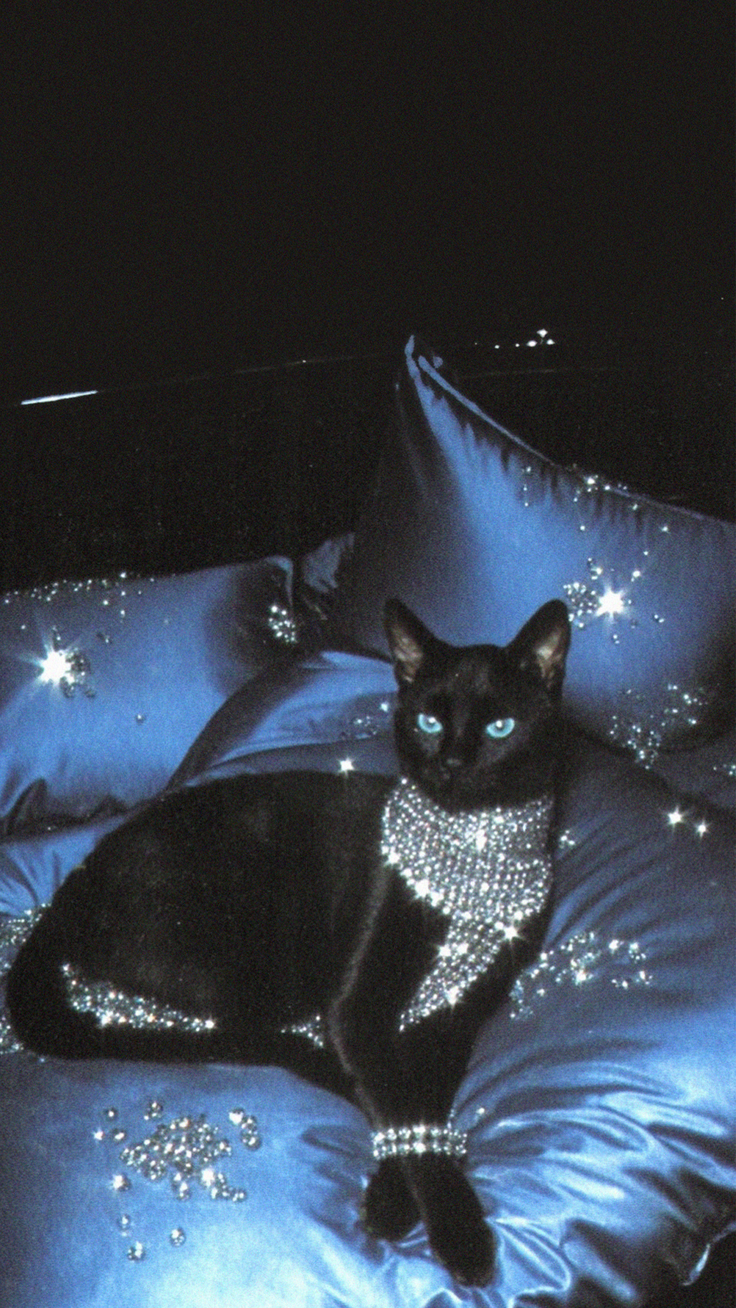 Black Cat in Jewelry: Who Said Kitties Can't Be Glamorous?