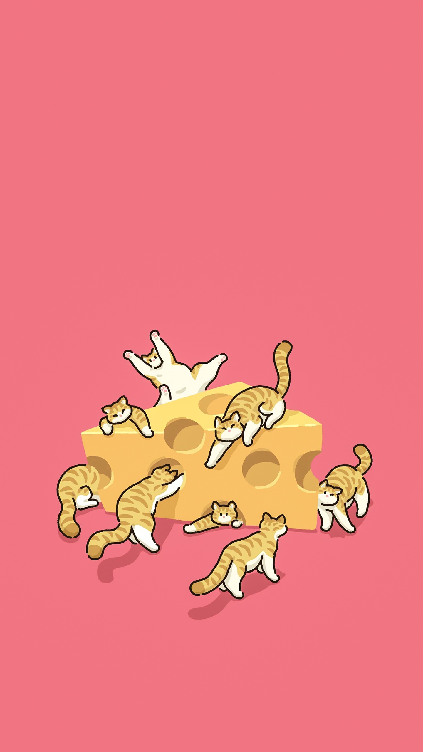 Cheese & Kitty Cuddles