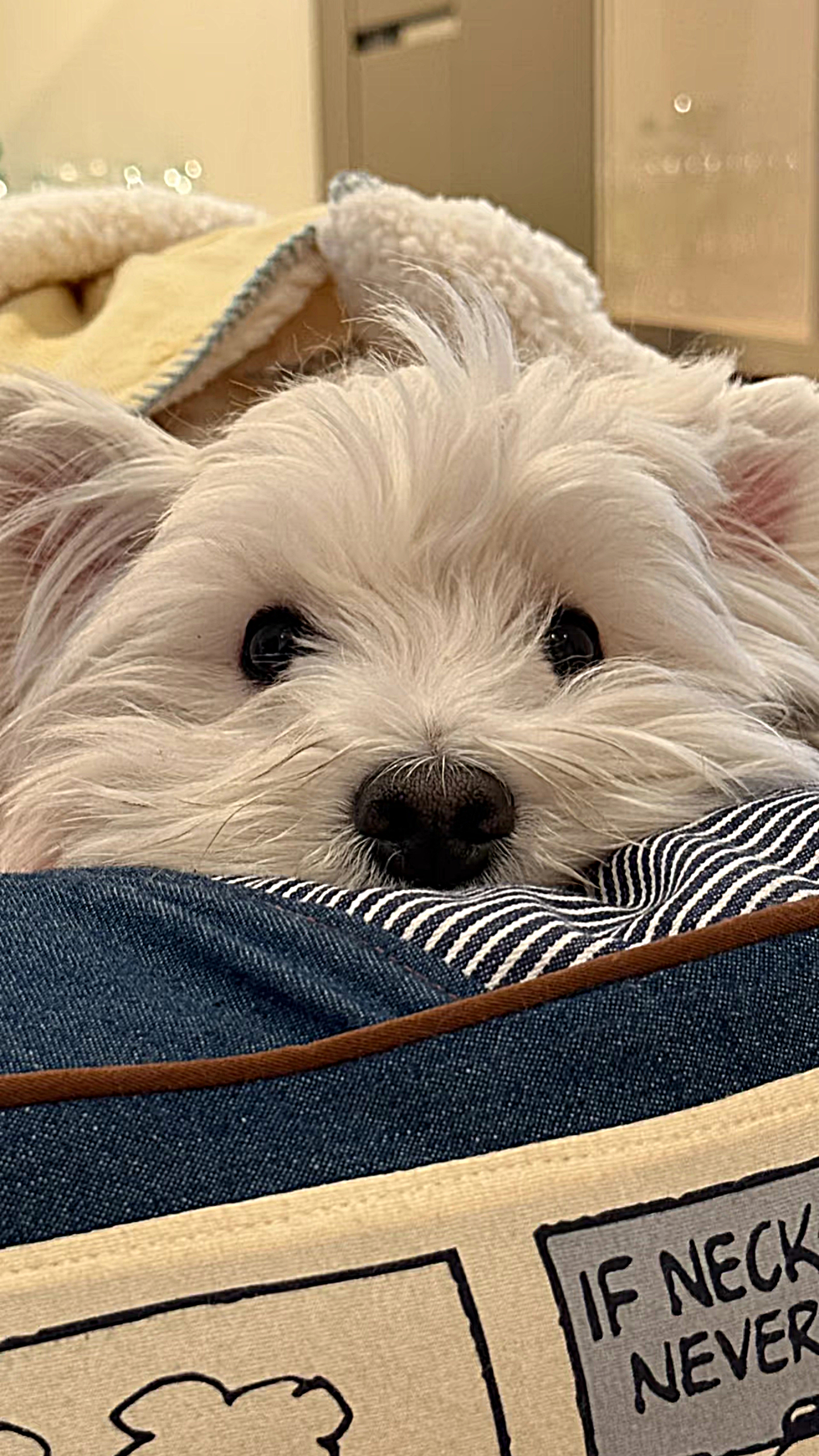 Grateful for now, joy’s here