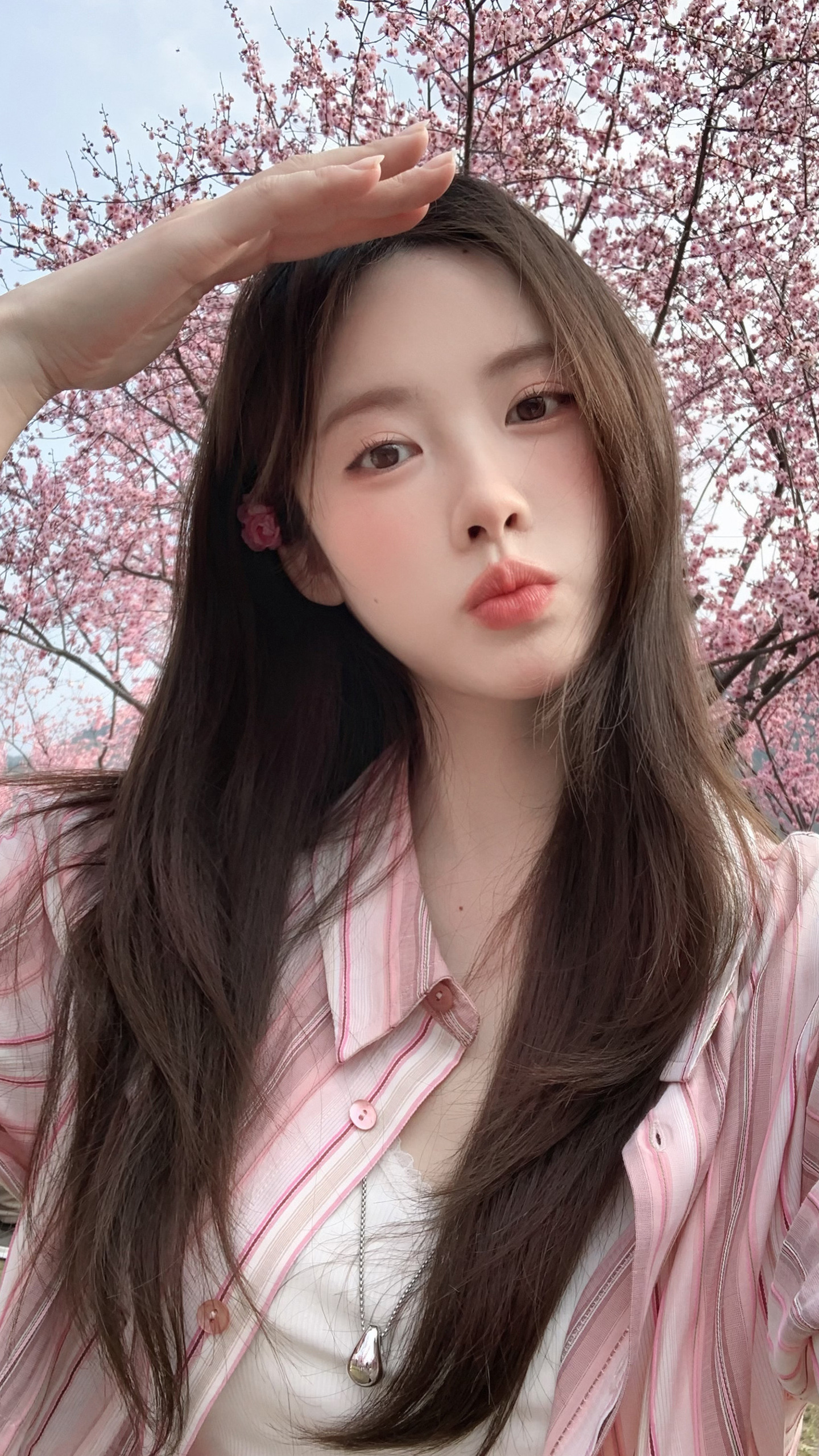 Thai gentleness changes the world.