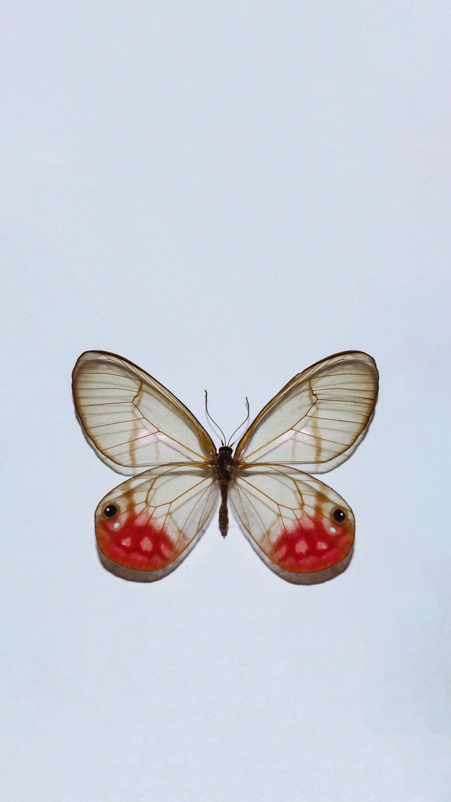 Smile bridges mountains, warmth connects hearts.