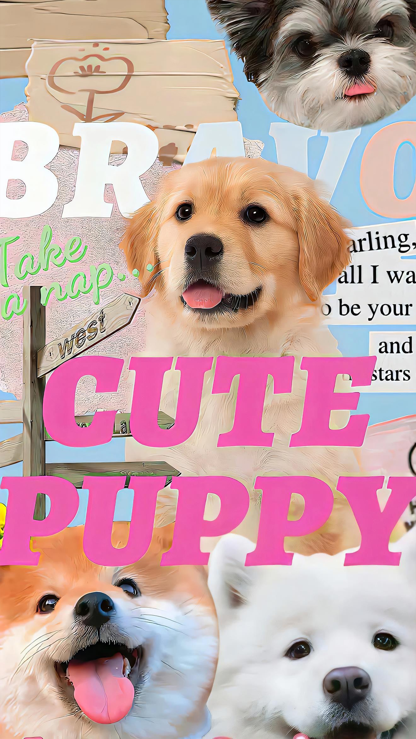 Cute Puppy Compilation Alert! 