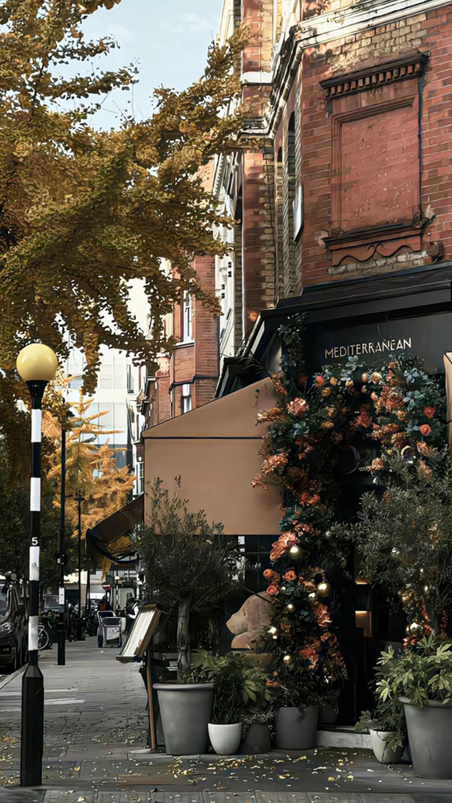 Autumn Vibes on This Cozy Street: The Mediterranean Spot That Feels Like a Warm Hug!