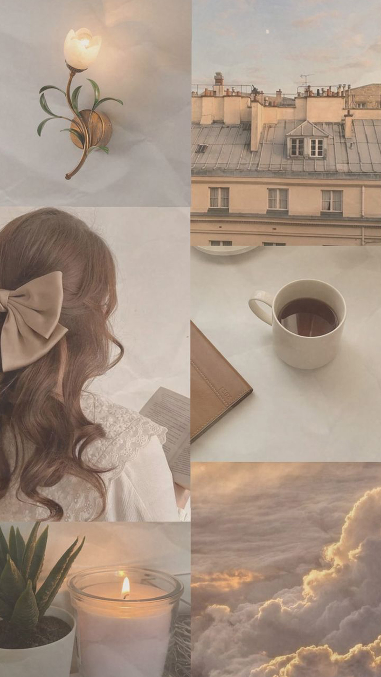 From SG Urban to SEA Nature - So Relatable!