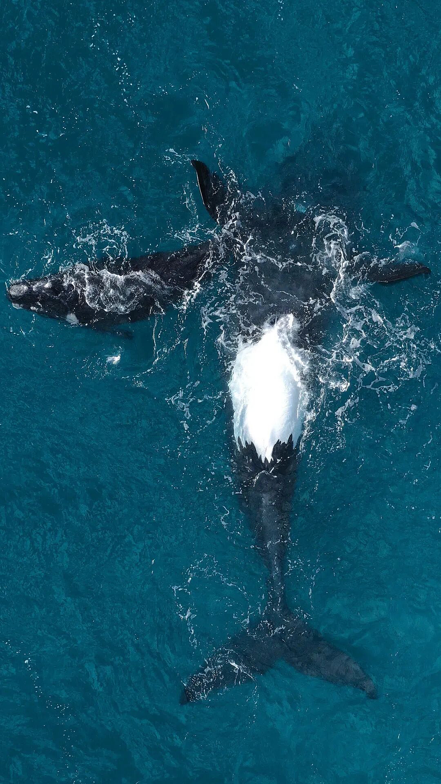 Wood carvings tell past stories.