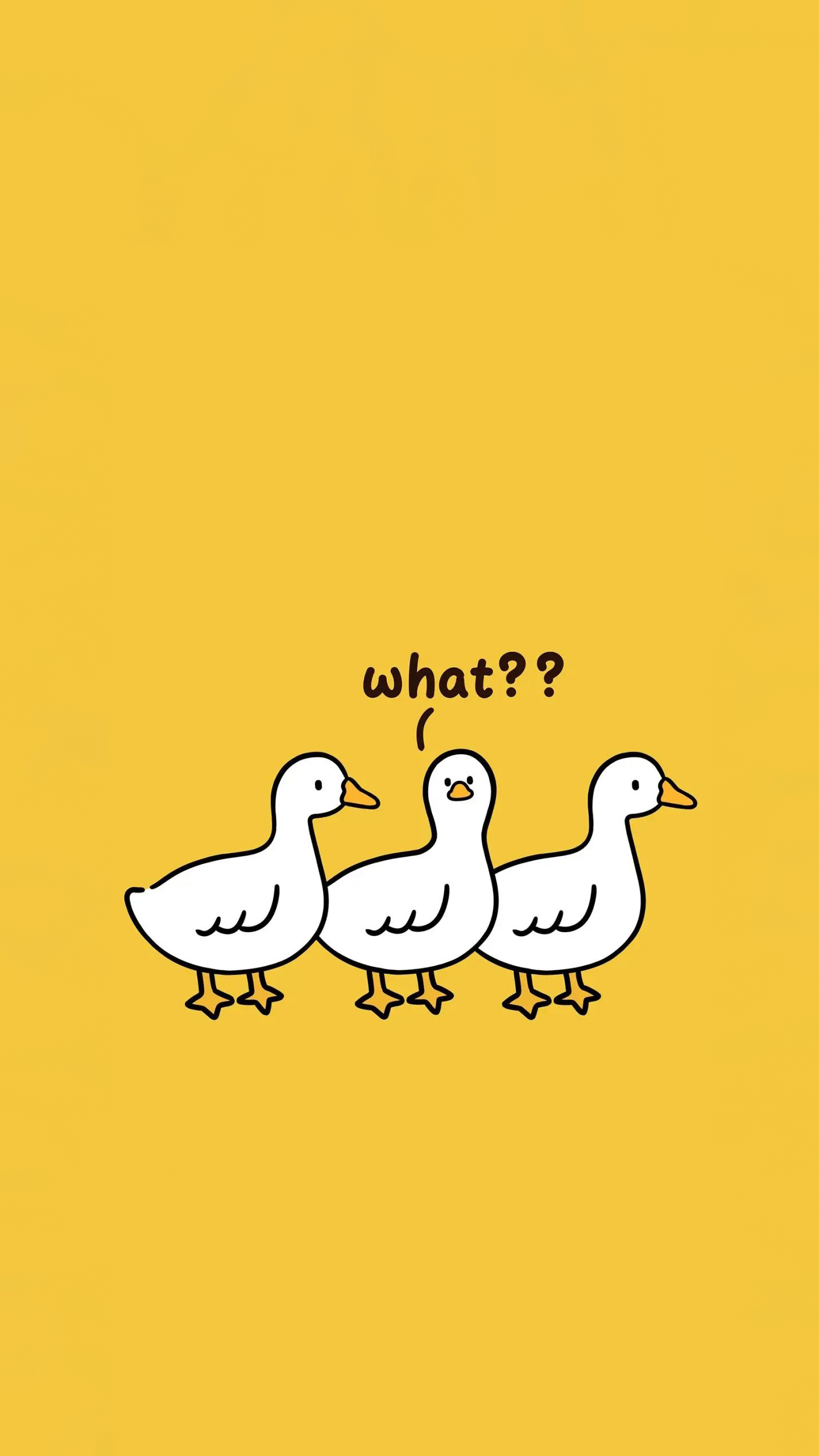 Why Are the Ducks All So Puzzled? A Cute Animal Mystery!