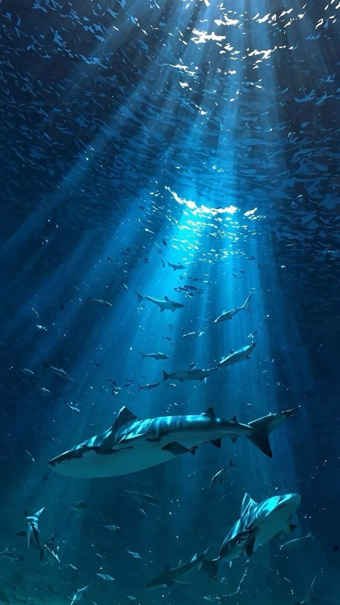 That School of Fish Though... So Dramatic!