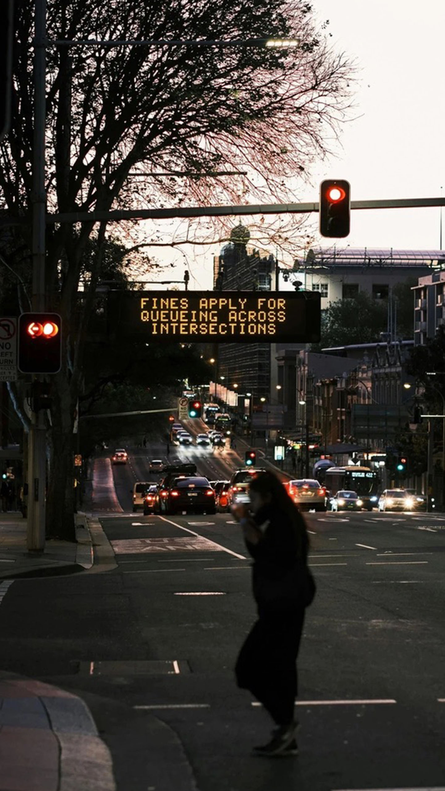 City Evening Vibes: That Traffic Sign That’s Lowkey Warning Everyone (And This Blurry Pedestrian Stealing the Show)