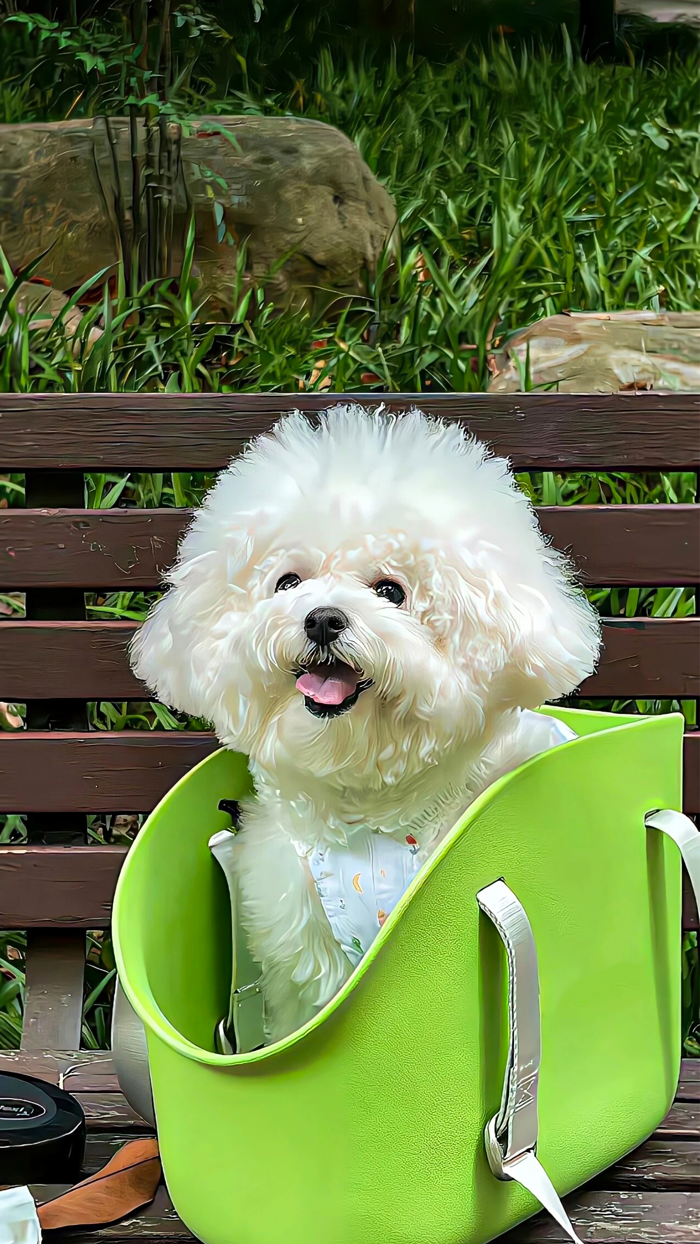 Rosewood wind chases deep sorrow.