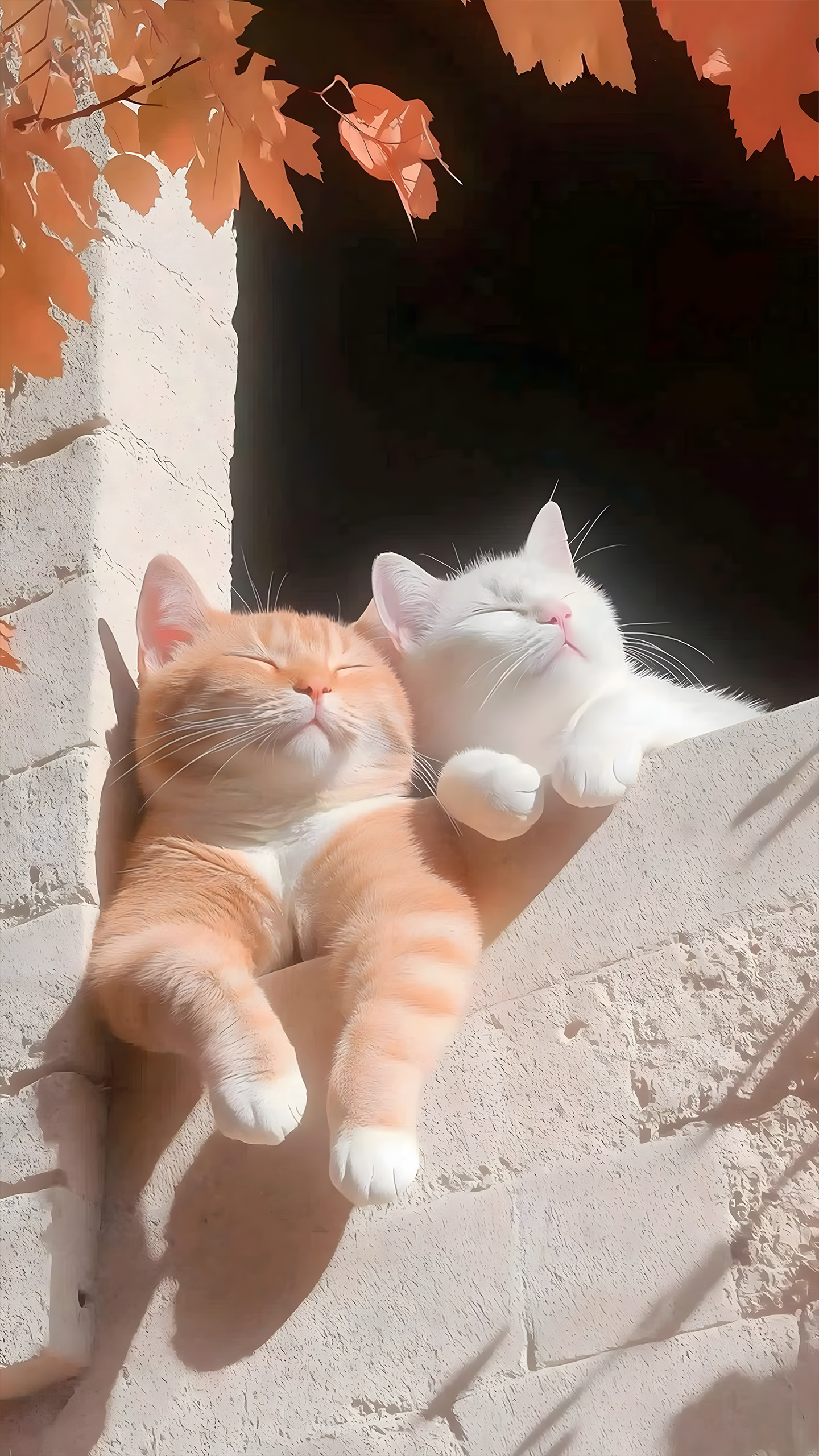 Sunshine and Kitties
