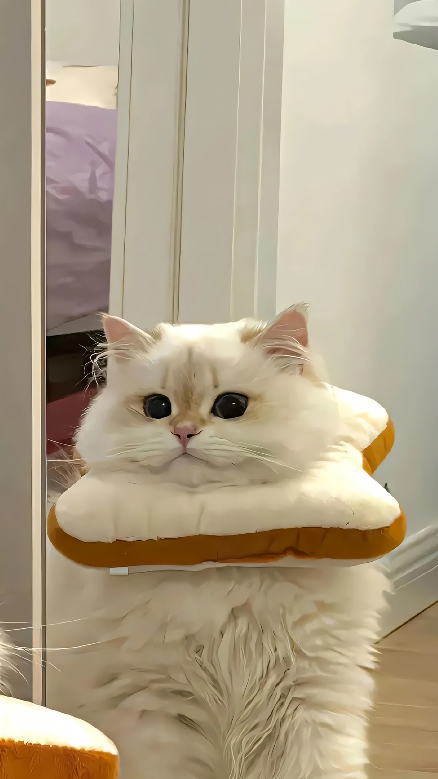 Bread CatDecor