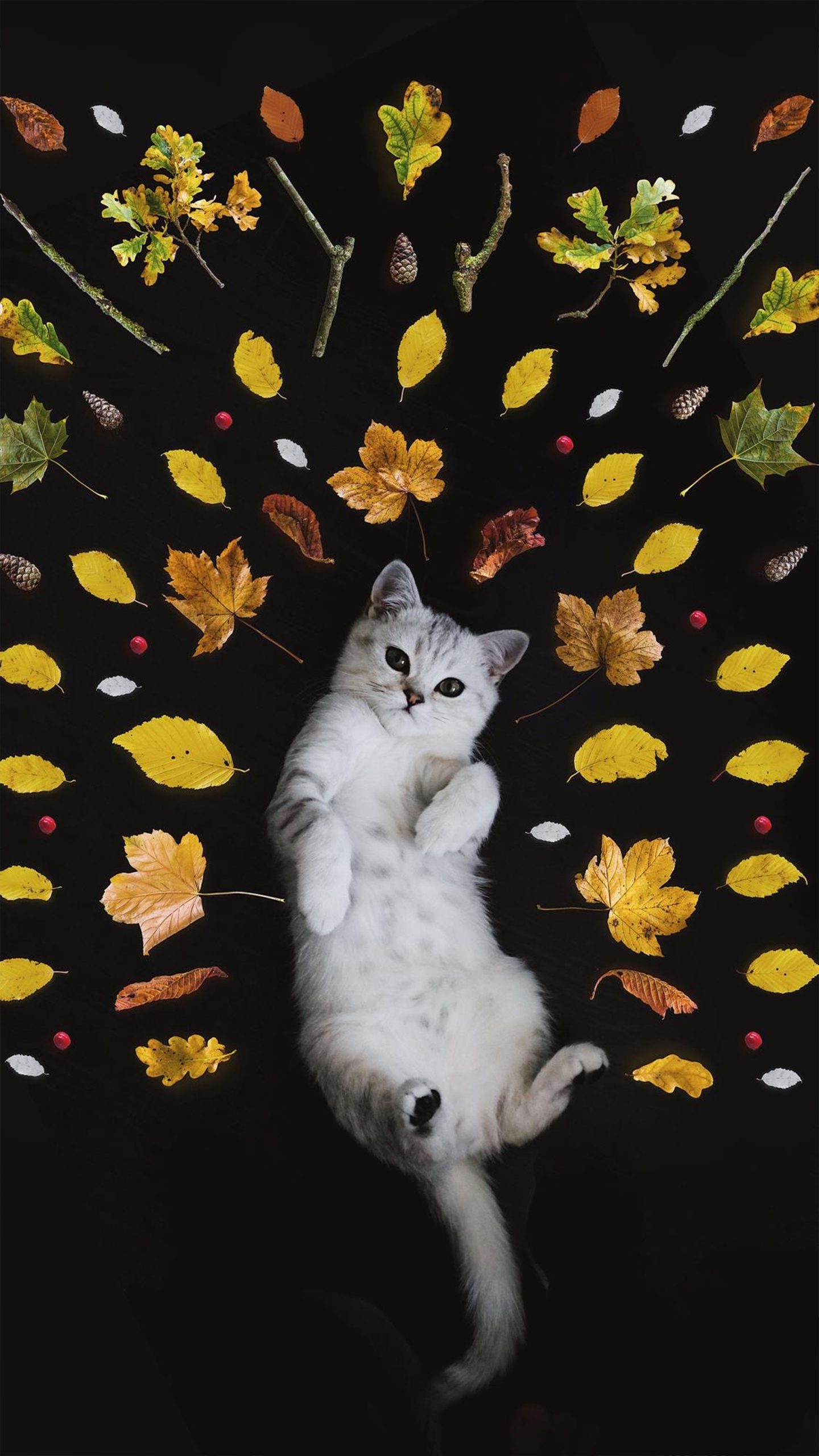 Cat Surrounded by Leaves